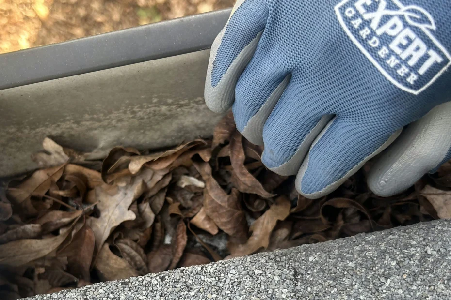 Gutter Cleaning Chalmette