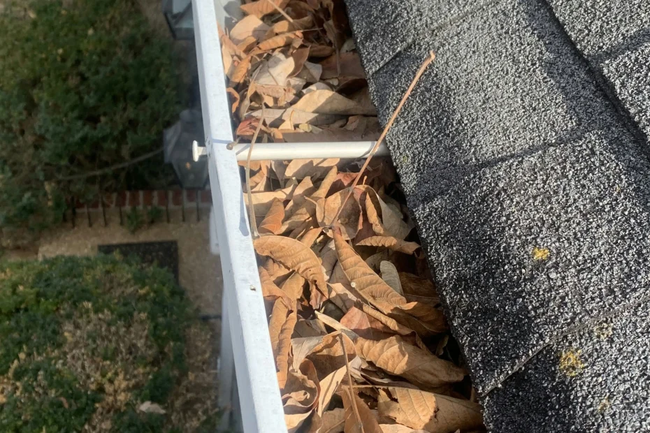 Gutter Cleaning Chalmette